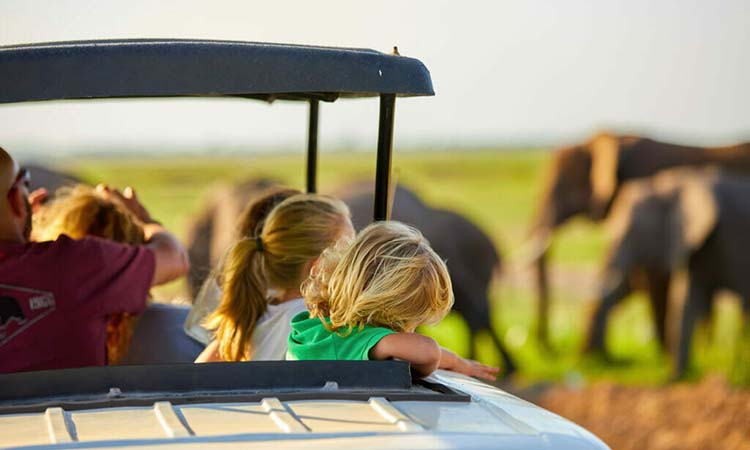 Things to do on 14 days Kenya safari tour